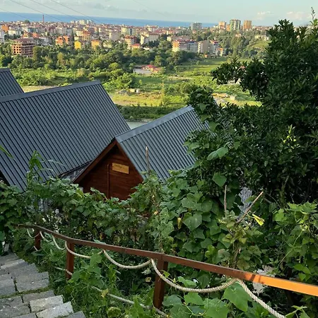 Bed & Breakfast Ces Ardeşen